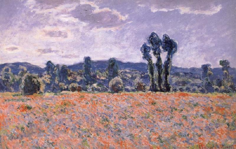 Claude Monet Poppy Field in Bloom oil painting picture